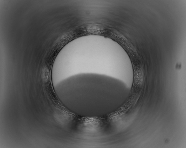 X0000100330705200806191108