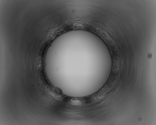 X0000100330706200806191108