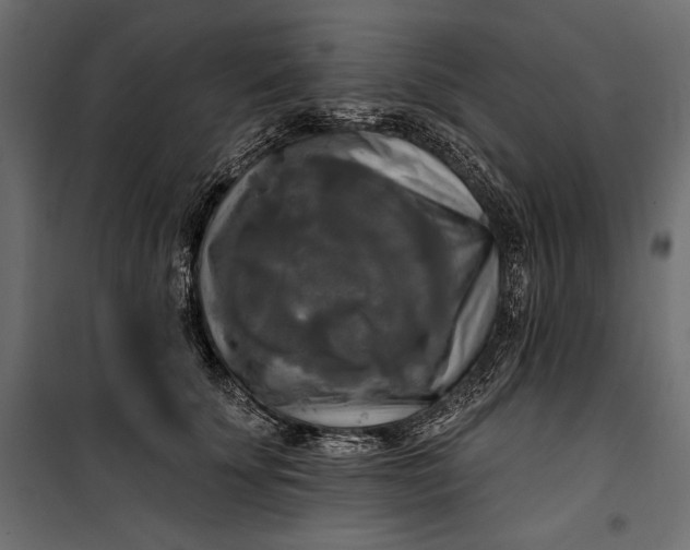 X0000100330707200806191108