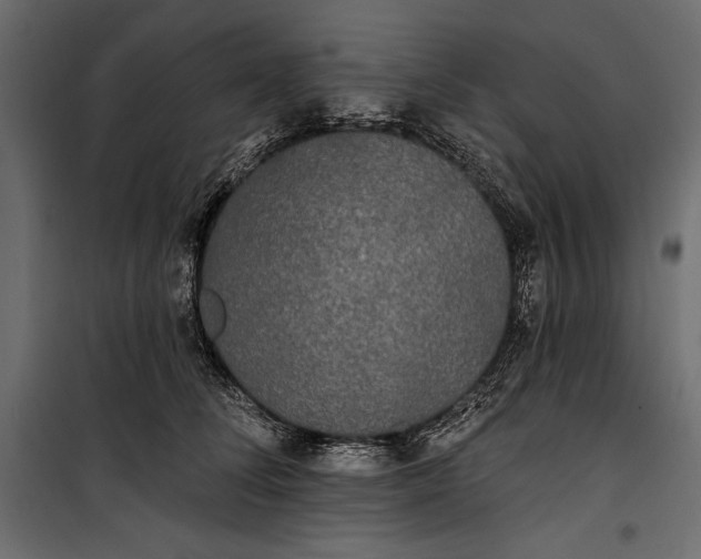 X0000100330708200806191108