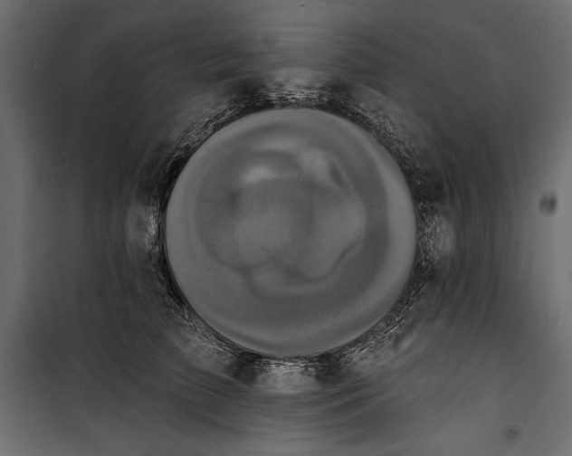 X0000100330709200806191108