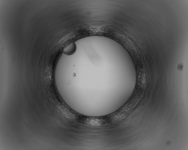 X0000100330710200806191108