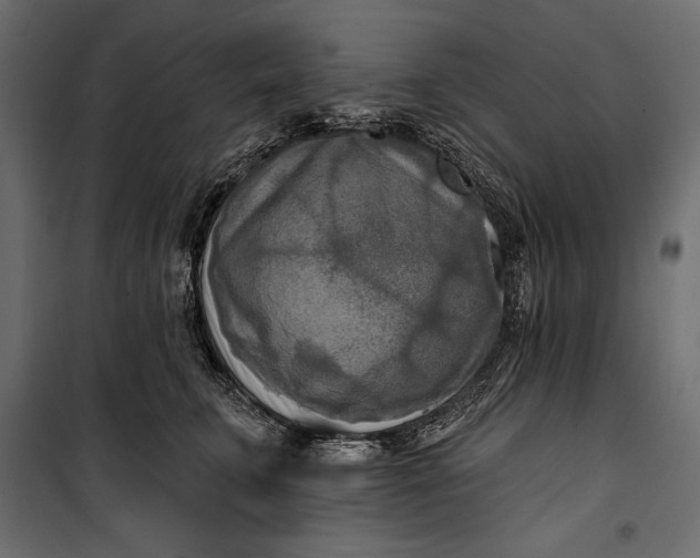 X0000100330711200806191108