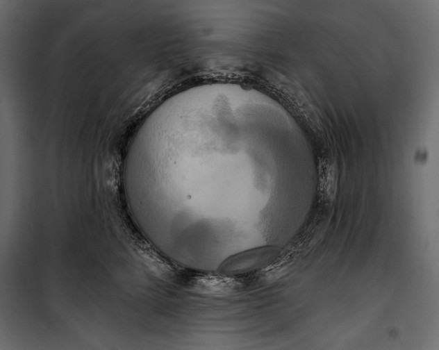 X0000100330712200806191108