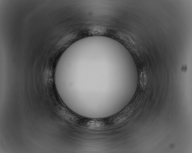 X0000100330714200806191108