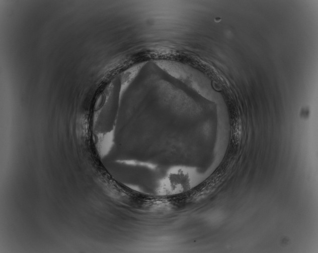 X0000100330715200806191108