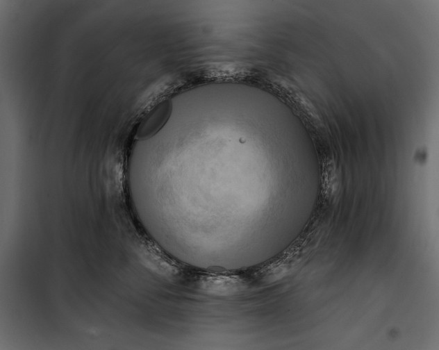 X0000100330716200806191108