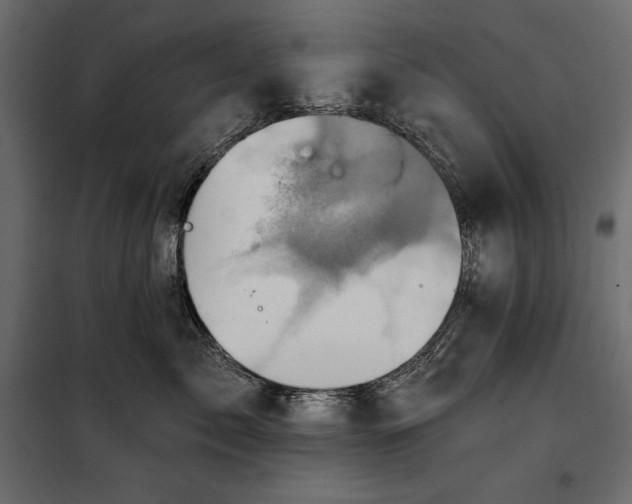 X0000100330717200806191108