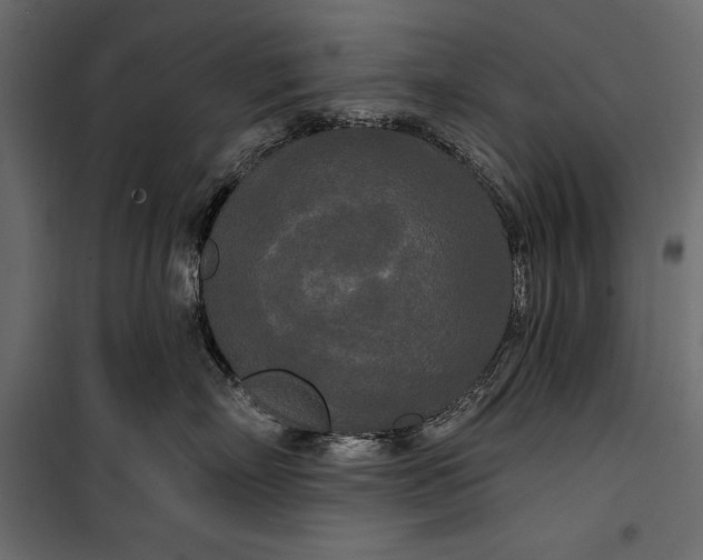 X0000100330718200806191108