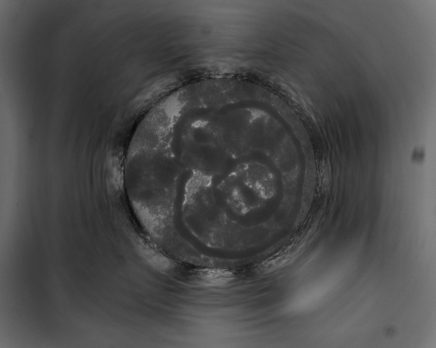 X0000100330719200806191108