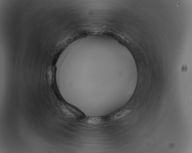 X0000100330720200806191108