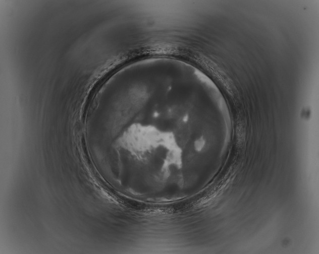 X0000100330721200806191107