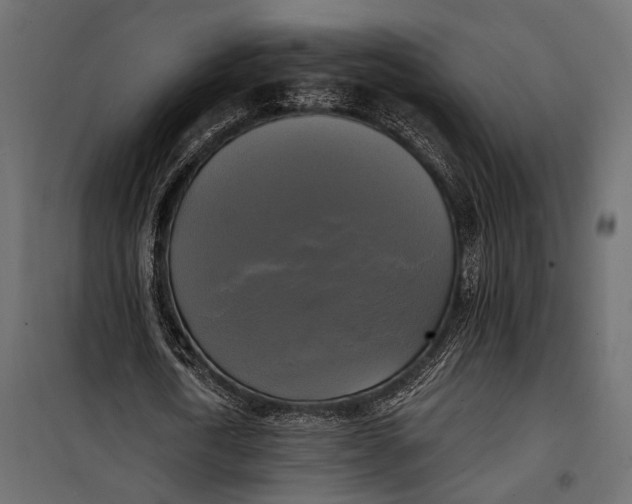 X0000100330722200806191107