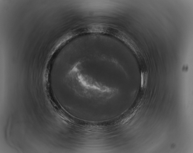 X0000100330723200806191107