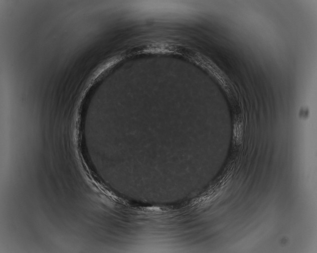 X0000100330724200806191107