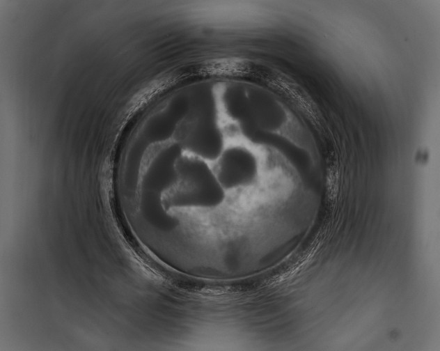 X0000100330725200806191107