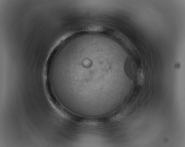 X0000100330726200806191107