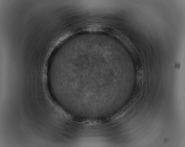 X0000100330727200806191107