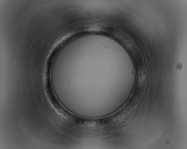 X0000100330728200806191107