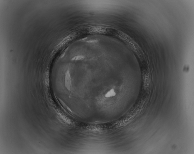 X0000100330729200806191107