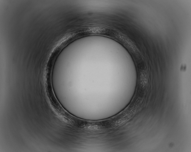 X0000100330730200806191107