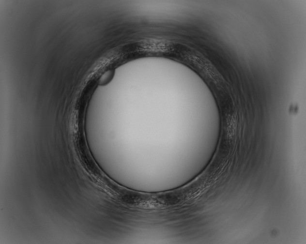 X0000100330731200806191107