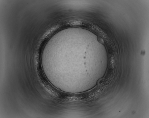 X0000100330732200806191107