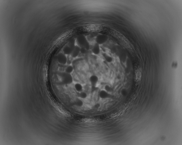 X0000100330733200806191107