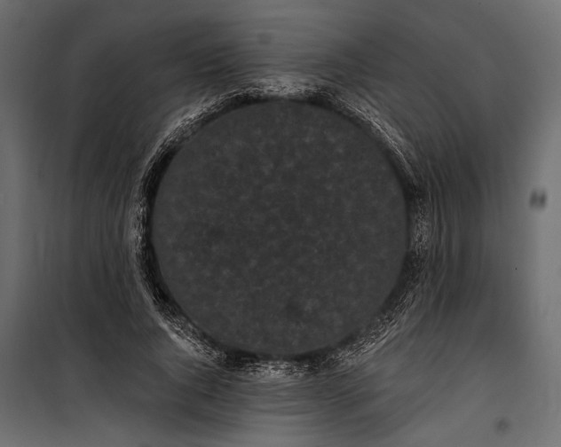 X0000100330736200806191107