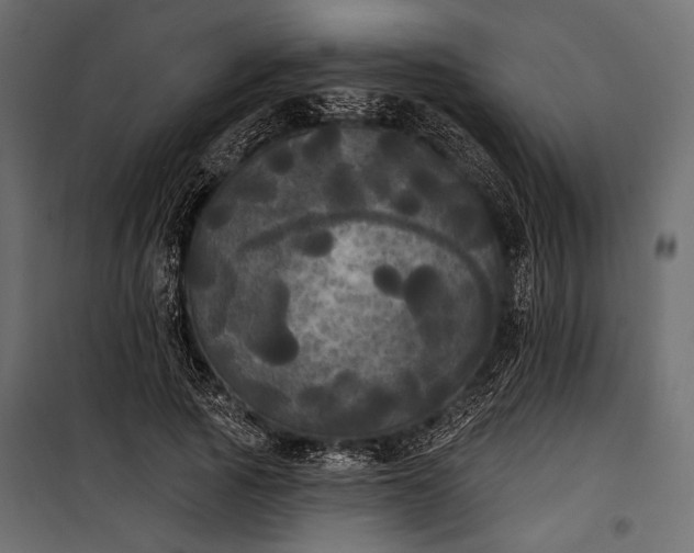 X0000100330737200806191107