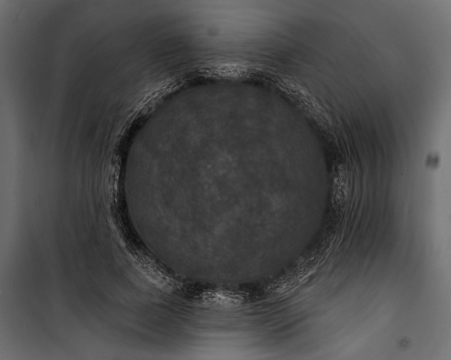 X0000100330739200806191107