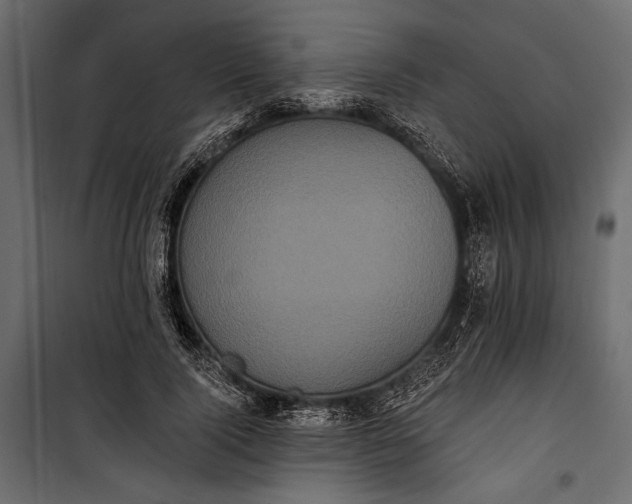 X0000100330740200806191107