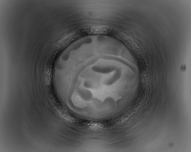 X0000100330741200806191107