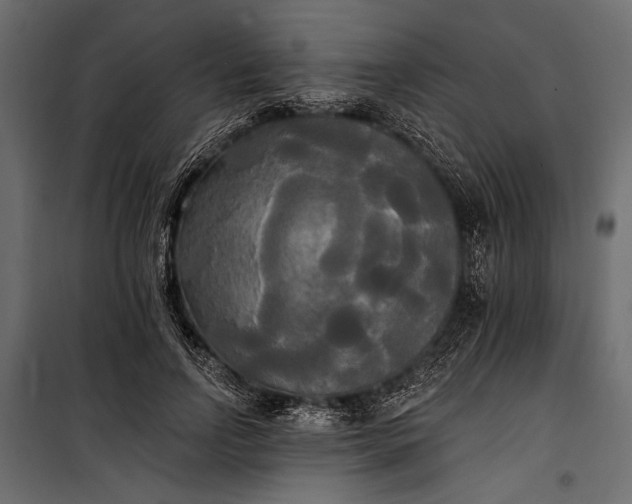 X0000100330742200806191107