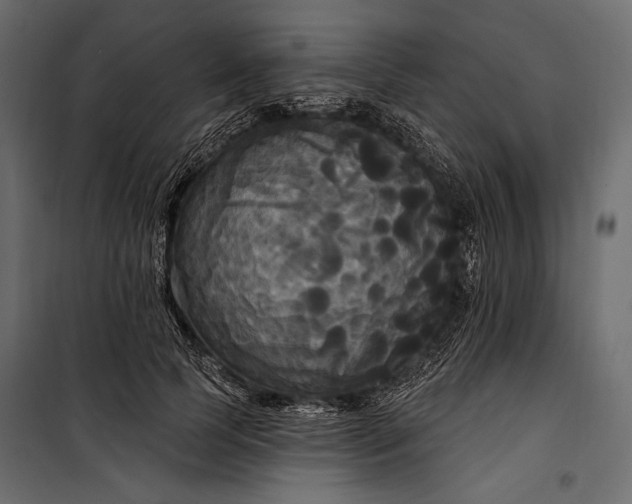 X0000100330745200806191107