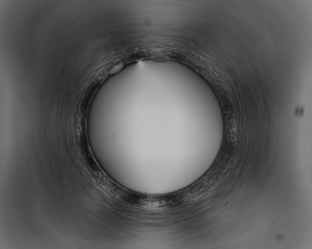 X0000100330746200806191107