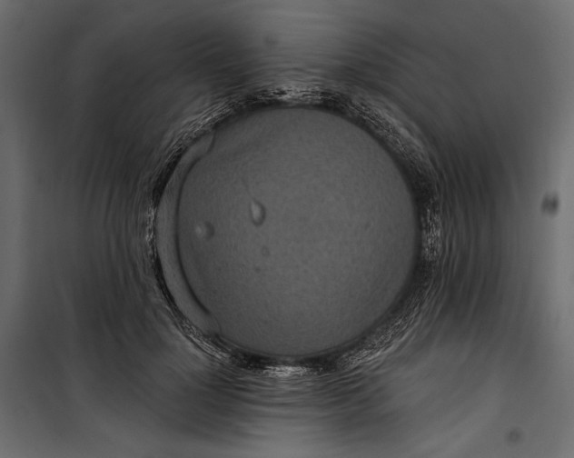 X0000100330748200806191107