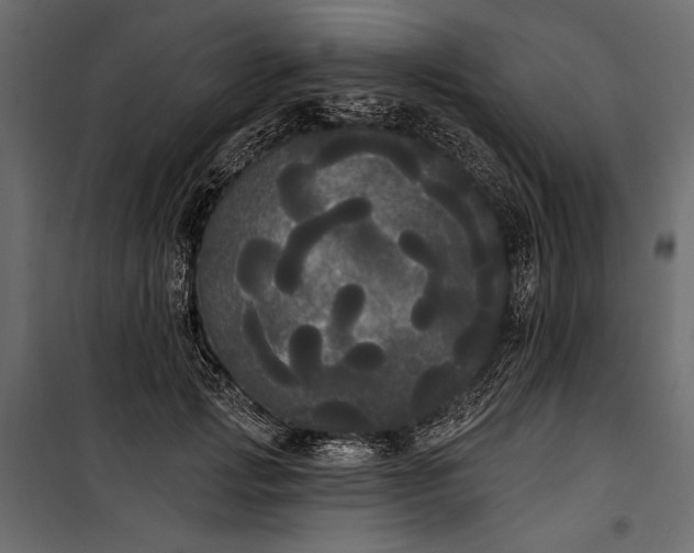 X0000100330749200806191107