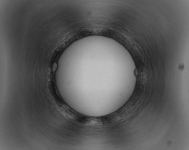 X0000100330750200806191107