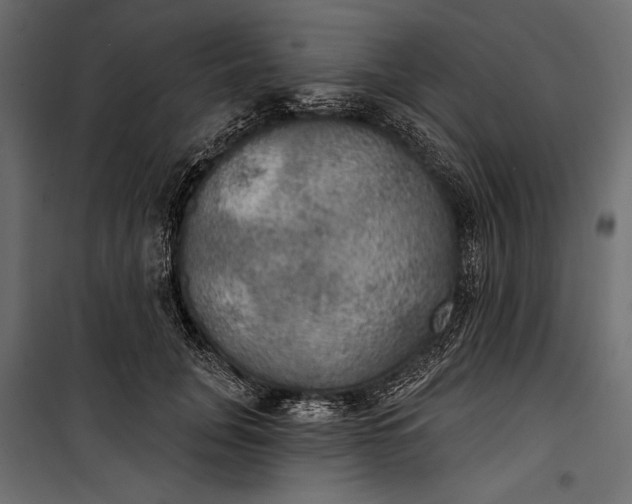 X0000100330751200806191107