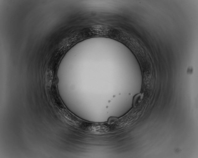 X0000100330752200806191107