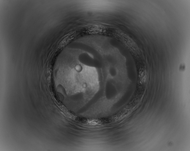 X0000100330753200806191107