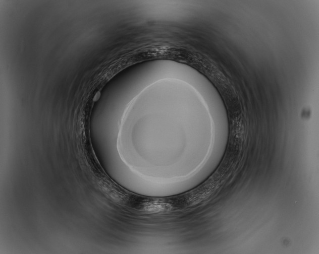 X0000100330754200806191107