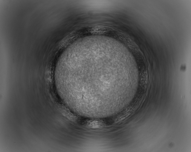 X0000100330755200806191107