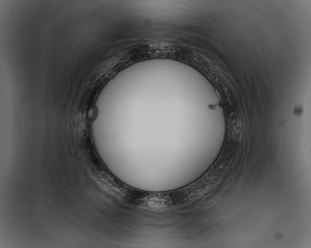 X0000100330756200806191107