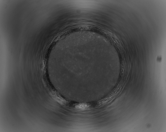 X0000100330759200806191107