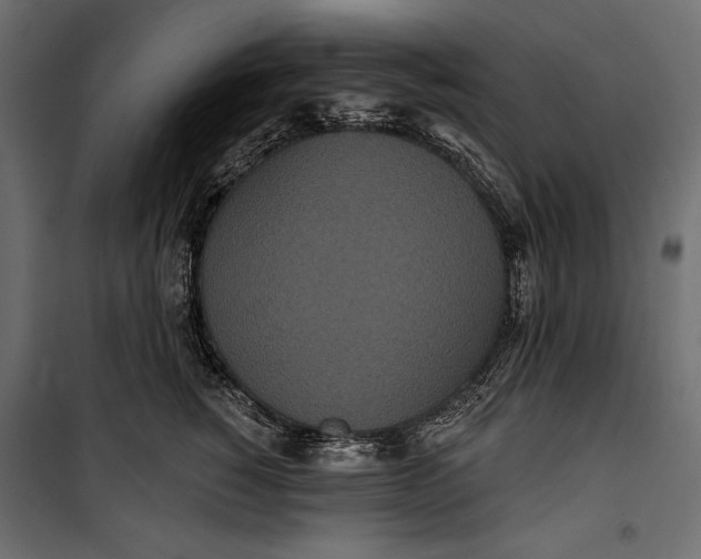 X0000100330760200806191107