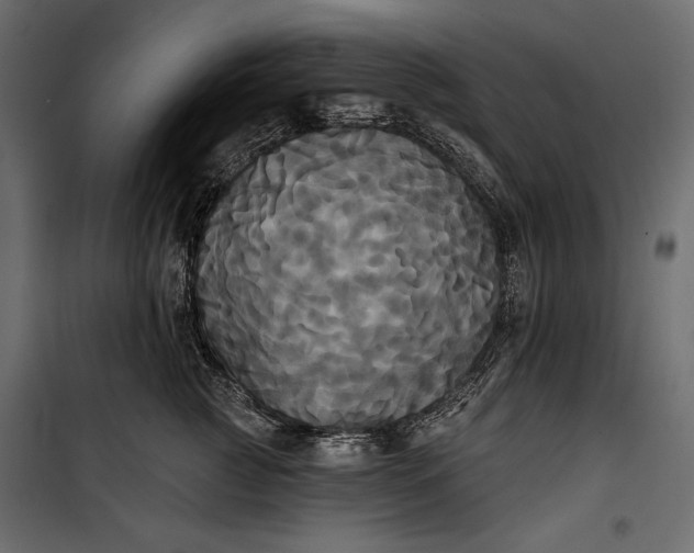 X0000100330761200806191107