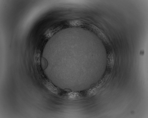 X0000100330762200806191107