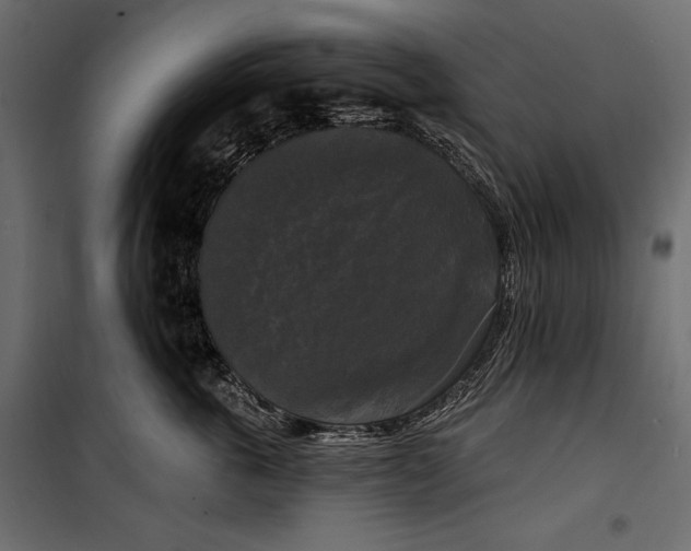 X0000100330763200806191108